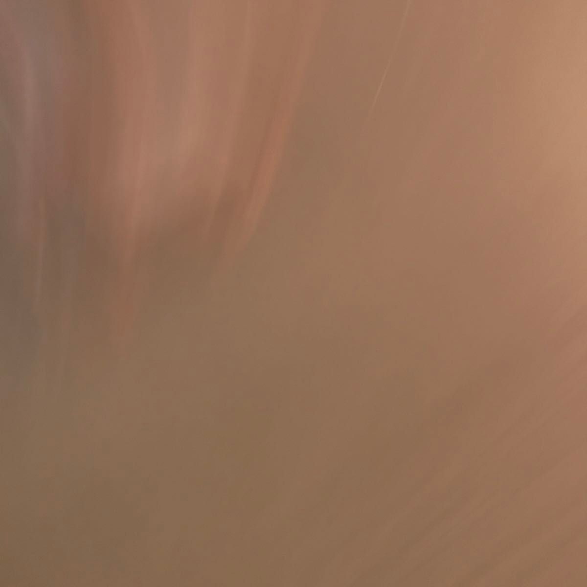 専用