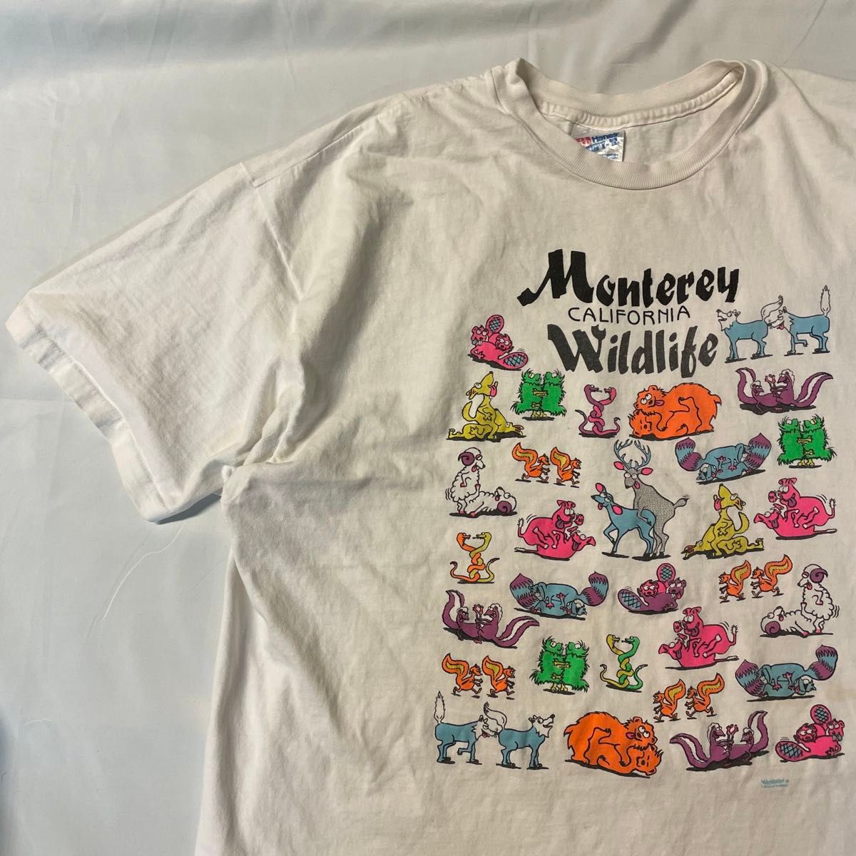 USA製 超貴重 ヘインズ モントレー アニマル エロ Tシャツ USA製 超貴重 ヘインズ モントレー アニマル エロ Tシャツ