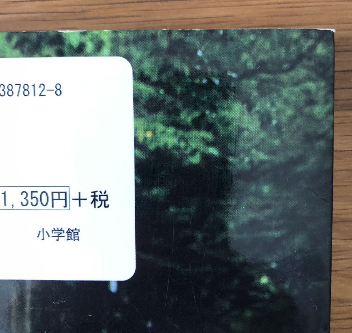 破れているところが他にもあります