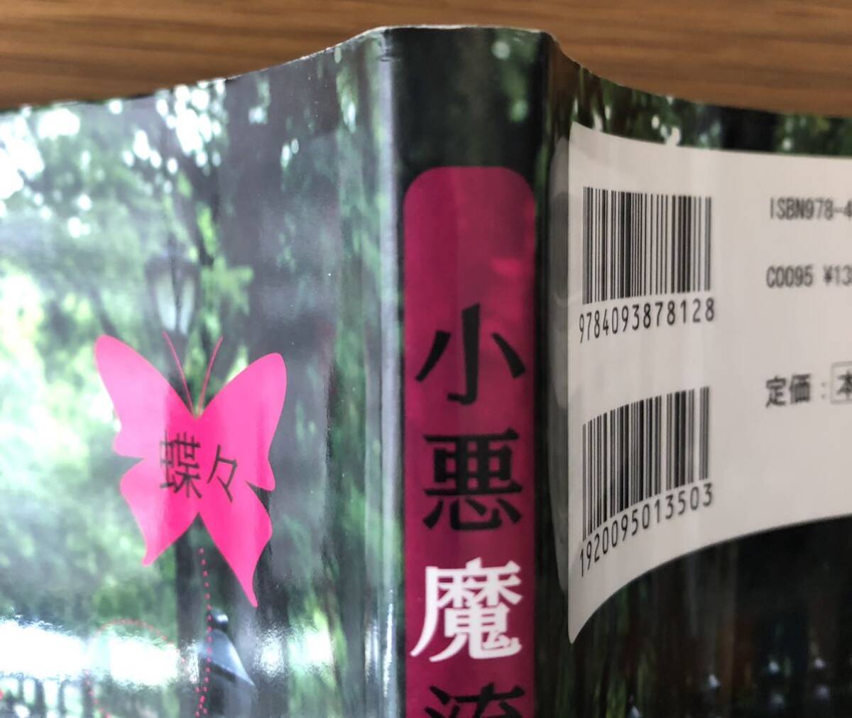 折れ、破れが他にもあります
