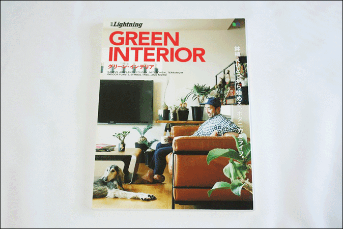 古本 Lightning vol.154 GREEN INTERIOR インテリア ライトニング 別冊 2016年発行 初版 USA 枻出版社 ヴィンテージ 古著 雑志 AE473