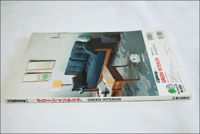 古本 Lightning vol.154 GREEN INTERIOR インテリア ライトニング 別冊 2016年発行 初版 USA 枻出版社 ヴィンテージ 古著 雑志 AE473