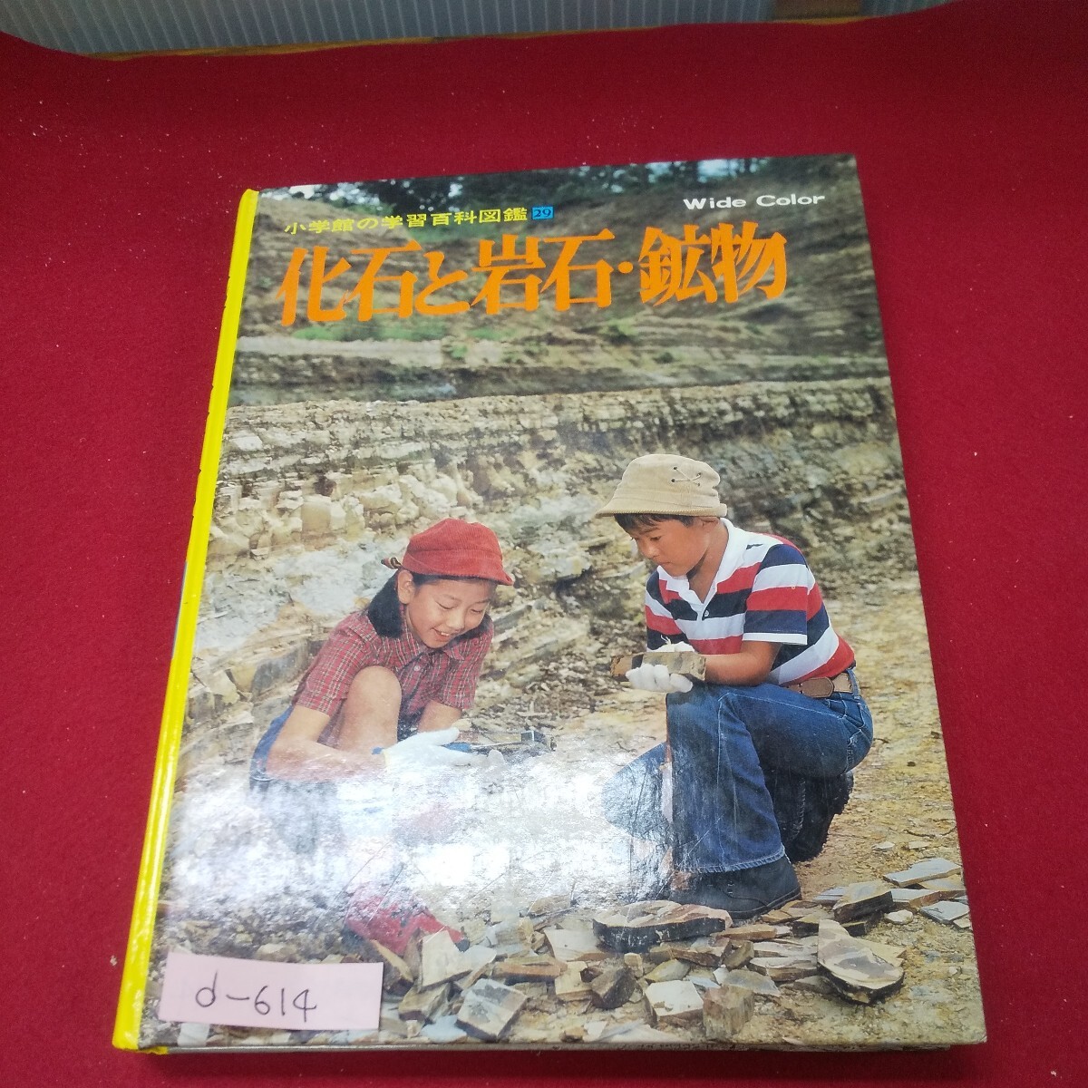 d-614※13 小学館の学習百科図鑑29 化石と岩石・鉱物 共著:立見辰雄/浜田隆士 昭和58年6月20日第5刷発行