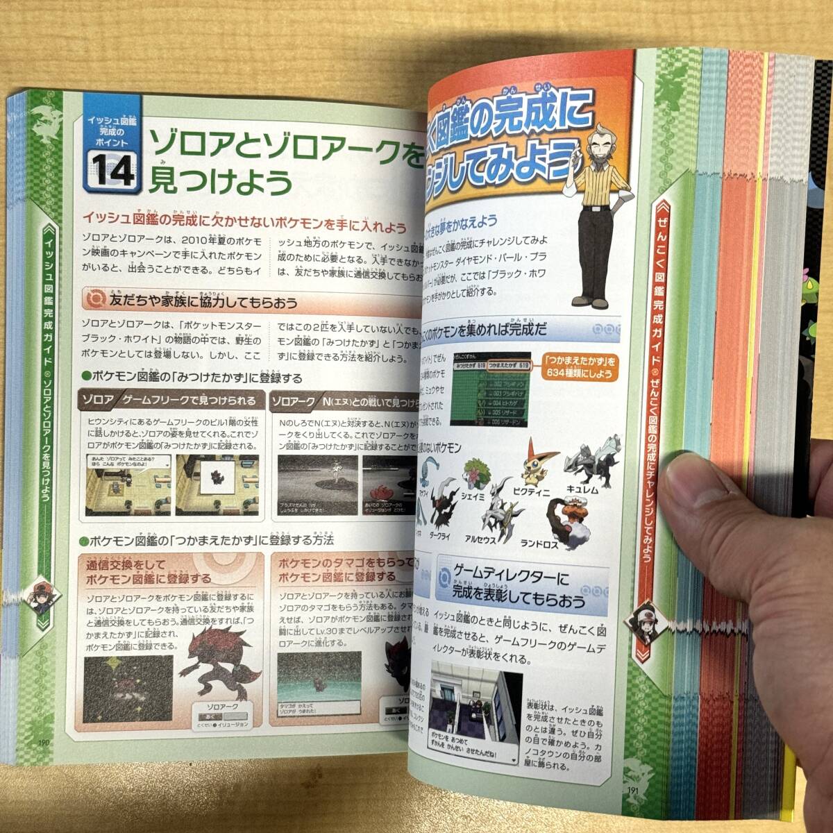 任天堂DS ポケットモンスターブラック ホワイト完全ガイド 帯 任天堂DS ポケットモンスターブラック ホワイト完全ガイド 帯