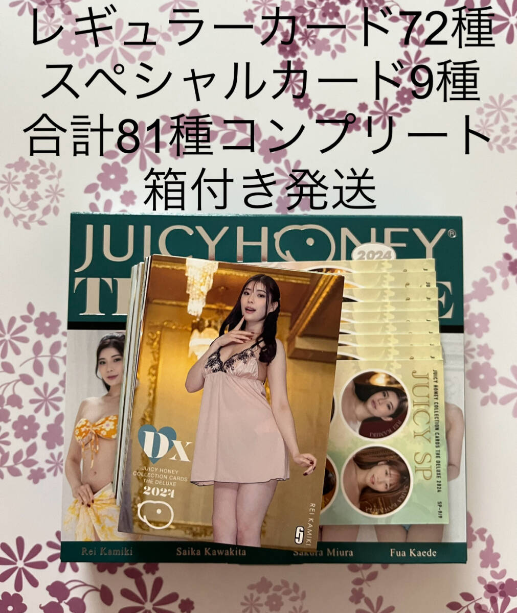 13 さくらわかな ジューシーハニー PLUS#24 レギュラーカード 13 さくらわかな ジューシーハニー PLUS#24 レギュラーカード 13