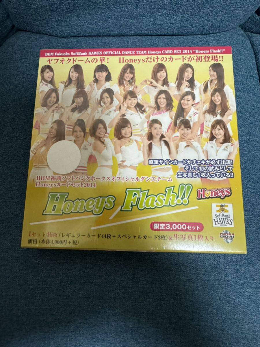 プロ野球 2014 BBM チアリーダー Honey Flash!! カードセット ソフトバンク Honeys未開封品