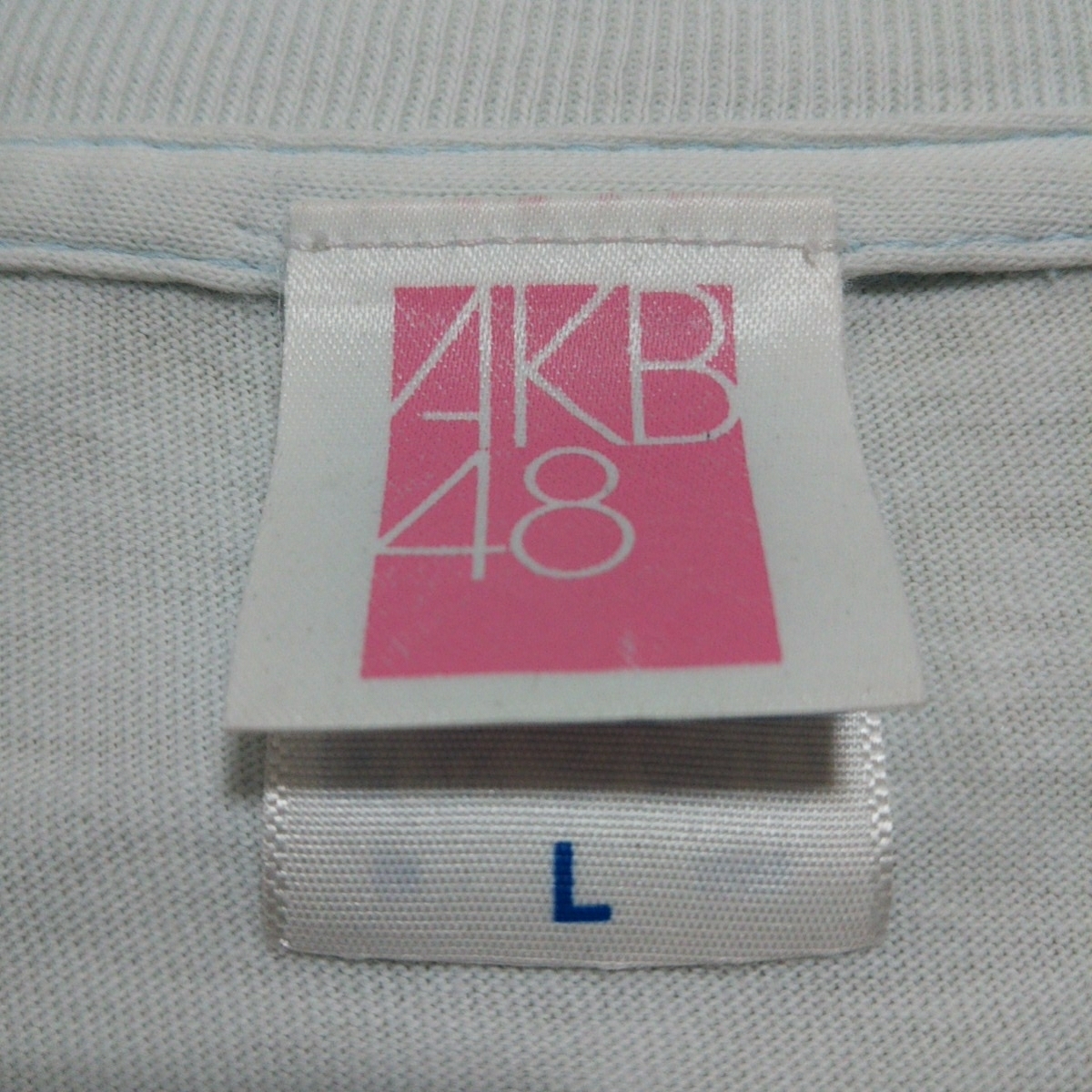 アイドルT AKB48グループ 2014 全国ツアー 神奈川 半袖Tシャツ Lサイズ ブルー_画像6