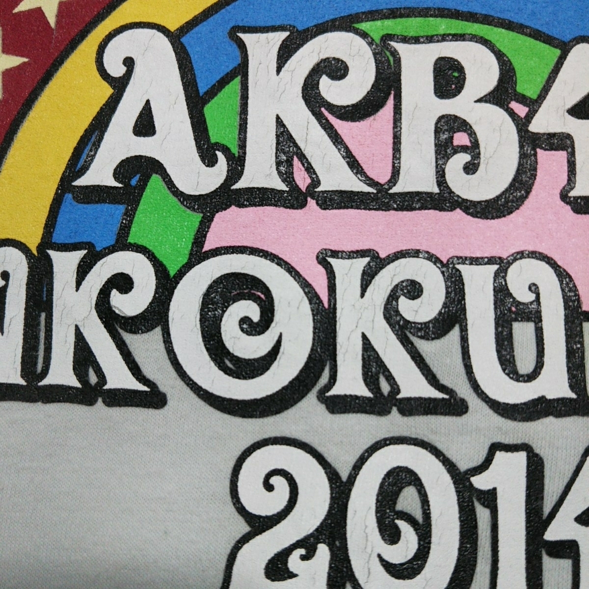 アイドルT AKB48グループ 2014 全国ツアー 神奈川 半袖Tシャツ Lサイズ ブルー_画像3