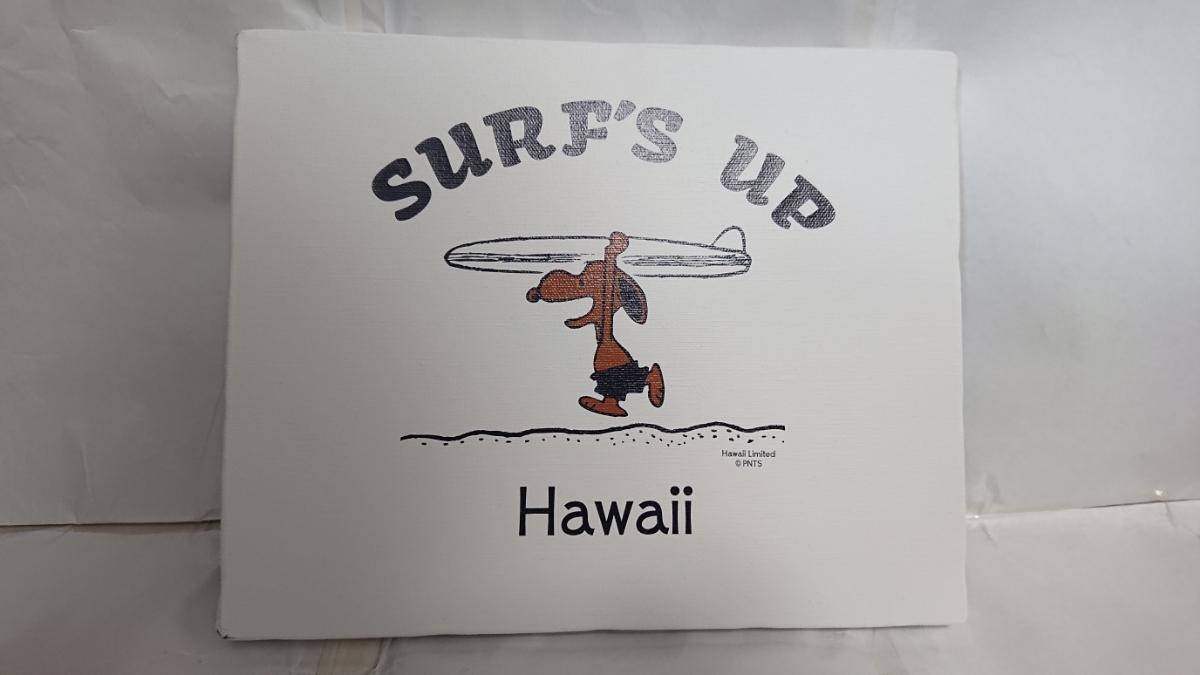 Beautiful Goods Valuable Snoopy Surf S Up Hawaii Sunburn Snoopy Moni Honolulu Moni Honolulu Hawaii Surfing Real Yahoo Auction Salling