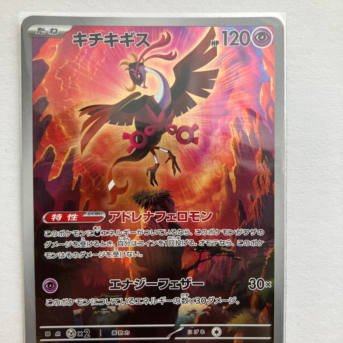 ポケモンカード ACE&ARセット｜Yahoo!フリマ（旧PayPayフリマ）