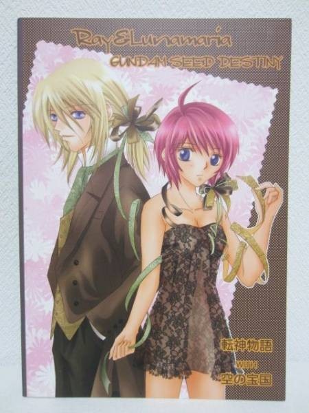 ヤフオク 同人誌 ガンダムseed Destiny 月光花 空の宝 ヤフオク 同人誌 ガンダムseed Destiny 月光花 空の宝