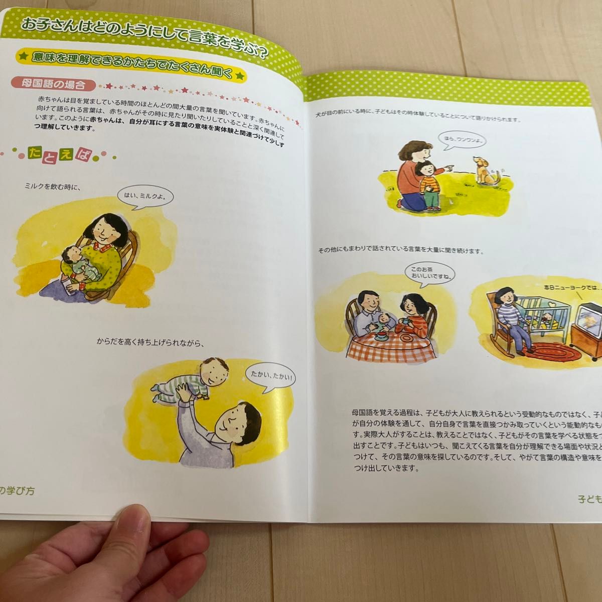 お買い得】DWE オリエンテーション DVD キャップbook CDガイド本 お買い得】DWE オリエンテーション DVD キャップbook CDガイド本