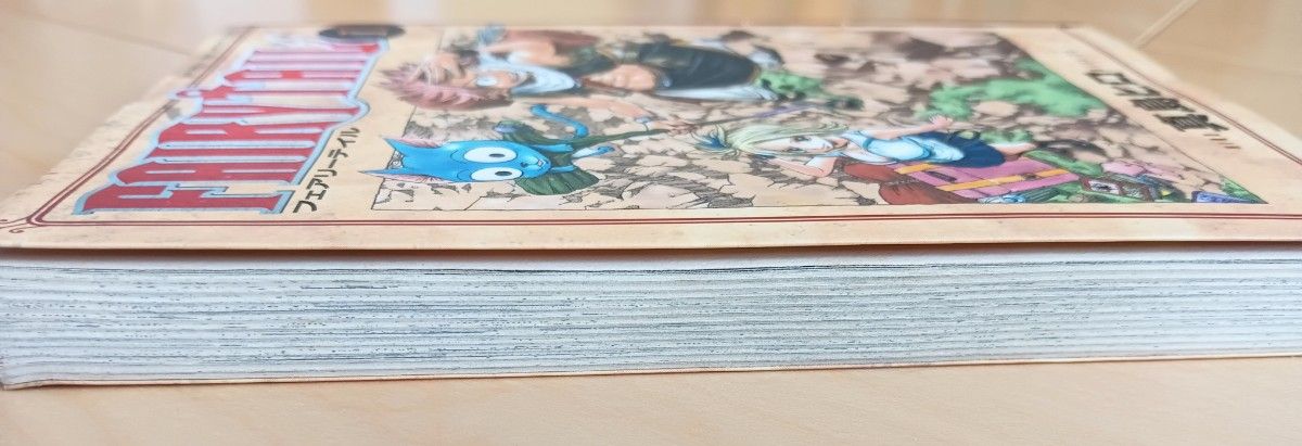 FAIRY TAIL フェアリーテイル 希少 初版 1巻 コミック 漫画 FAIRY TAIL フェアリーテイル 希少 初版 1巻 コミック 漫画