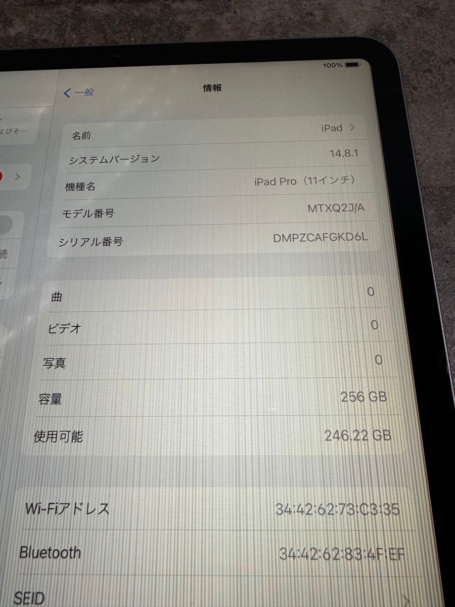 48981 iPad Pro初代11inch 256GB グレー Wi-Fiモデル ジャンク品 48981 iPad Pro初代11inch 256GB グレー Wi-Fiモデル ジャンク品