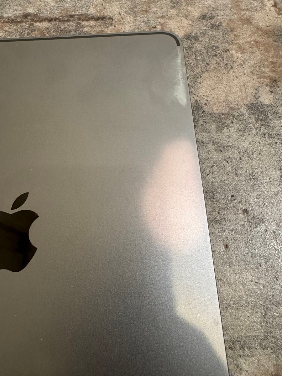 48981 iPad Pro初代11inch 256GB グレー Wi-Fiモデル ジャンク品 48981 iPad Pro初代11inch 256GB グレー Wi-Fiモデル ジャンク品