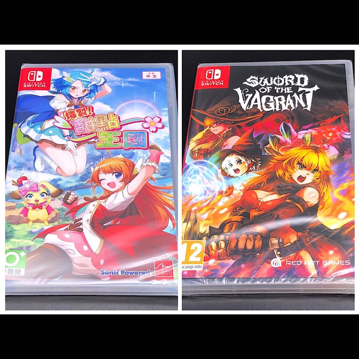 Sword of the Vagrant ソードオブザバークラント 欧州版 switch Sword of the Vagrant ソードオブザバークラント 欧州版 switch