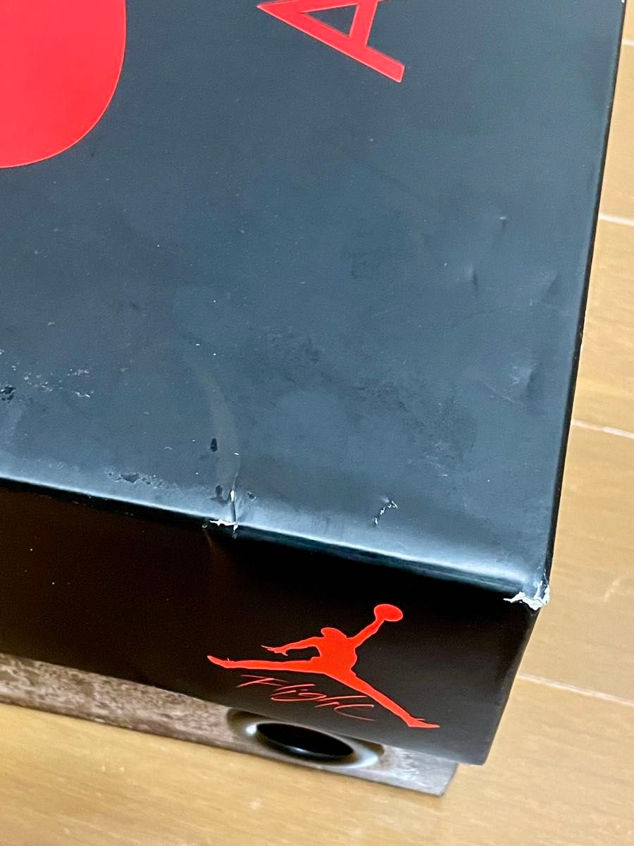 28cm NIKE AIR JORDAN 4 RM SP NIGEL SYLVESTER ナイジェル 28cm NIKE AIR JORDAN 4 RM SP NIGEL SYLVESTER ナイジェル