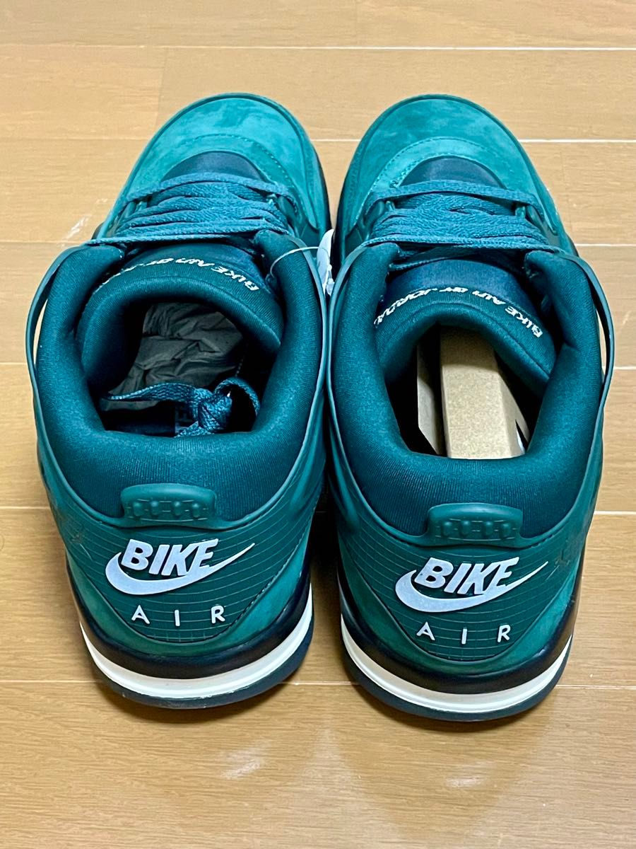 28cm NIKE AIR JORDAN 4 RM SP NIGEL SYLVESTER ナイジェル 28cm NIKE AIR JORDAN 4 RM SP NIGEL SYLVESTER ナイジェル