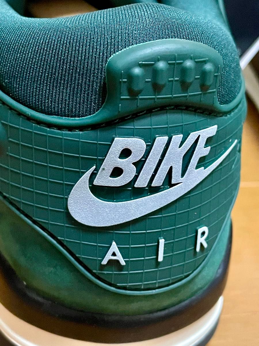 28cm NIKE AIR JORDAN 4 RM SP NIGEL SYLVESTER ナイジェル 28cm NIKE AIR JORDAN 4 RM SP NIGEL SYLVESTER ナイジェル