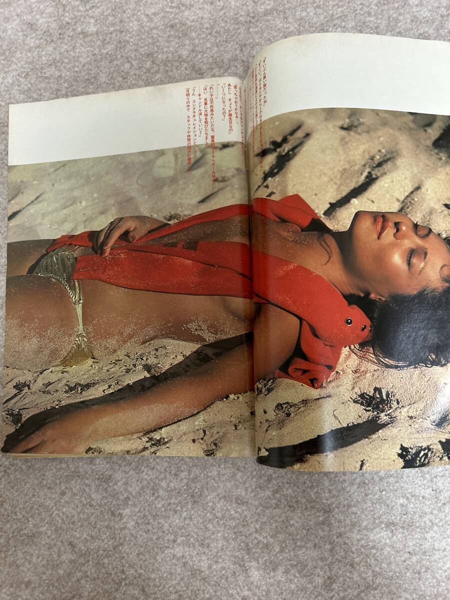 週刊プレイボーイ 1981年 昭和61年7月7日 松田聖子ピンナップ 樹れい子 五十嵐夕紀 南裕子 真鍋ちえみ 表紙擦れと破れ(その他)|売買されたオークション情報、yahooの商品情報をアーカイブ公 アイドル、芸能人 週刊プレイボーイ 1981年 昭和61年7月7日 松田聖子ピンナップ 樹れい子 五十嵐夕紀 南裕子 真鍋ちえみ 表紙擦れと破れ(その他)|売買されたオークション情報、yahooの商品情報をアーカイブ公 アイドル、芸能人