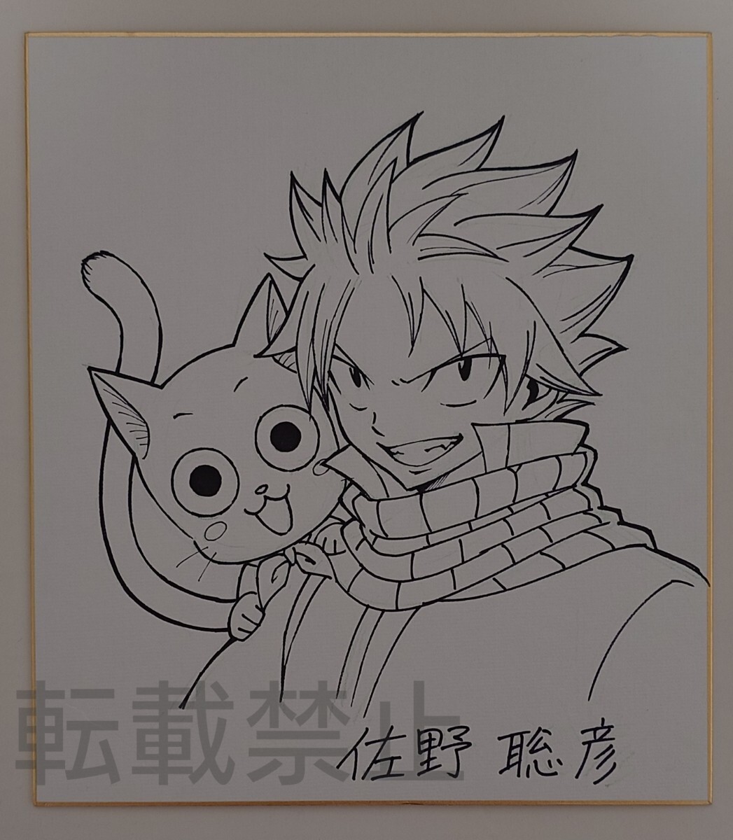 FAIRY TAIL フェアリーテイル 佐野聡彦 直筆イラストサイン色紙 FAIRY TAIL フェアリーテイル 佐野聡彦 直筆イラストサイン色紙