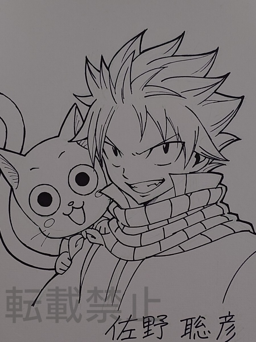 FAIRY TAIL フェアリーテイル 佐野聡彦 直筆イラストサイン色紙 FAIRY TAIL フェアリーテイル 佐野聡彦 直筆イラストサイン色紙