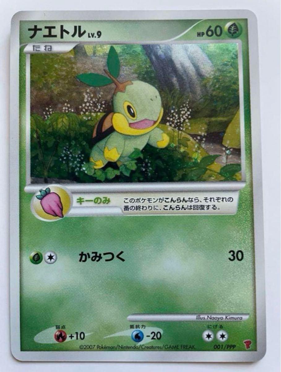 ポケモンカード プレイヤーズ限定 ナエトル 001/ppp|Yahoo ポケモンカード プレイヤーズ限定 ナエトル 001/ppp|Yahoo