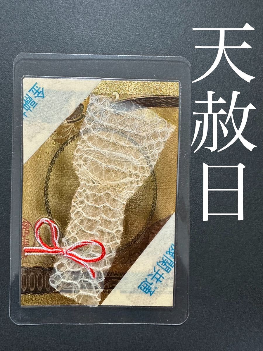 白蛇の抜け殻☆巳年生まれが育てる蛇のお守り☆産道☆貴重【天赦 白蛇の抜け殻☆巳年生まれが育てる蛇のお守り☆産道☆貴重【天赦