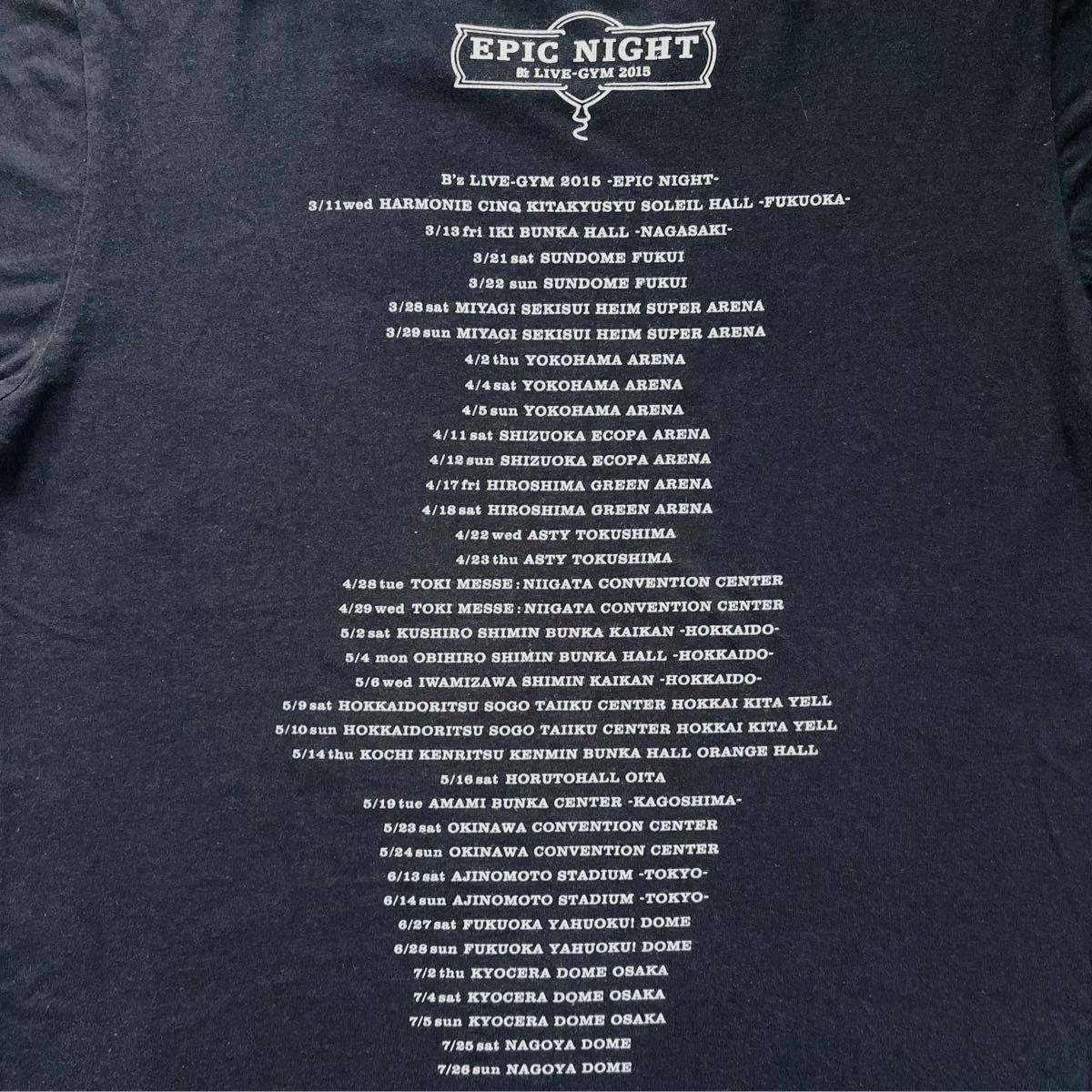 B'z LIVE-GYM 2015 -EPIC NIGHT-【ツアーTシャツ】Mサイズ B'z LIVE-GYM 2015 -EPIC NIGHT-【ツアーTシャツ】Mサイズ