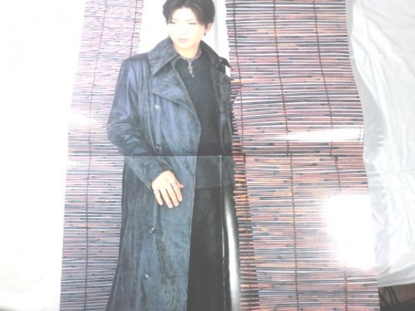 ARENA 37℃ (アリーナ サーティセブン) 2004年 12月号 Gackt ポスター RAG FAIR Janne Da Arc TAKUI ELLEGARDEN(エルレガーデン)_画像5