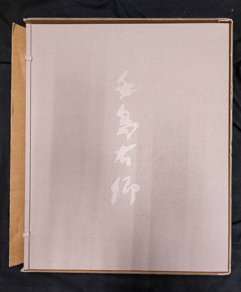 手島右卿大観 臨書編1期から3期 全30巻揃+ 手島右卿大観 臨書編1期から3期 全30巻揃+