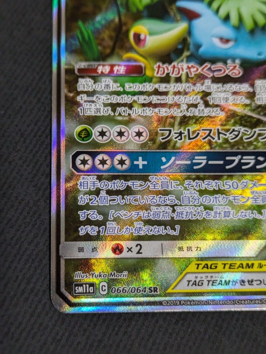 フシギバナ&ツタージャgx sa ポケモンカード|Yahoo!フリマ(旧 フシギバナ&ツタージャgx sa ポケモンカード|Yahoo!フリマ(旧
