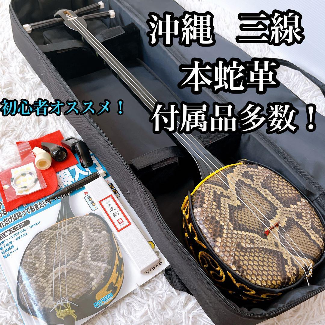 三線 三味線 蛇皮 沖縄 ゆるめん 琉球 初心者 ケース 三線 三味線 蛇皮 沖縄 ゆるめん 琉球 初心者 ケース