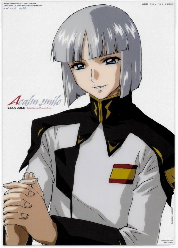 機動戦士ガンダムSEED DESTINY イザーク・ジュール フォト 機動戦士ガンダムSEED DESTINY イザーク・ジュール フォト