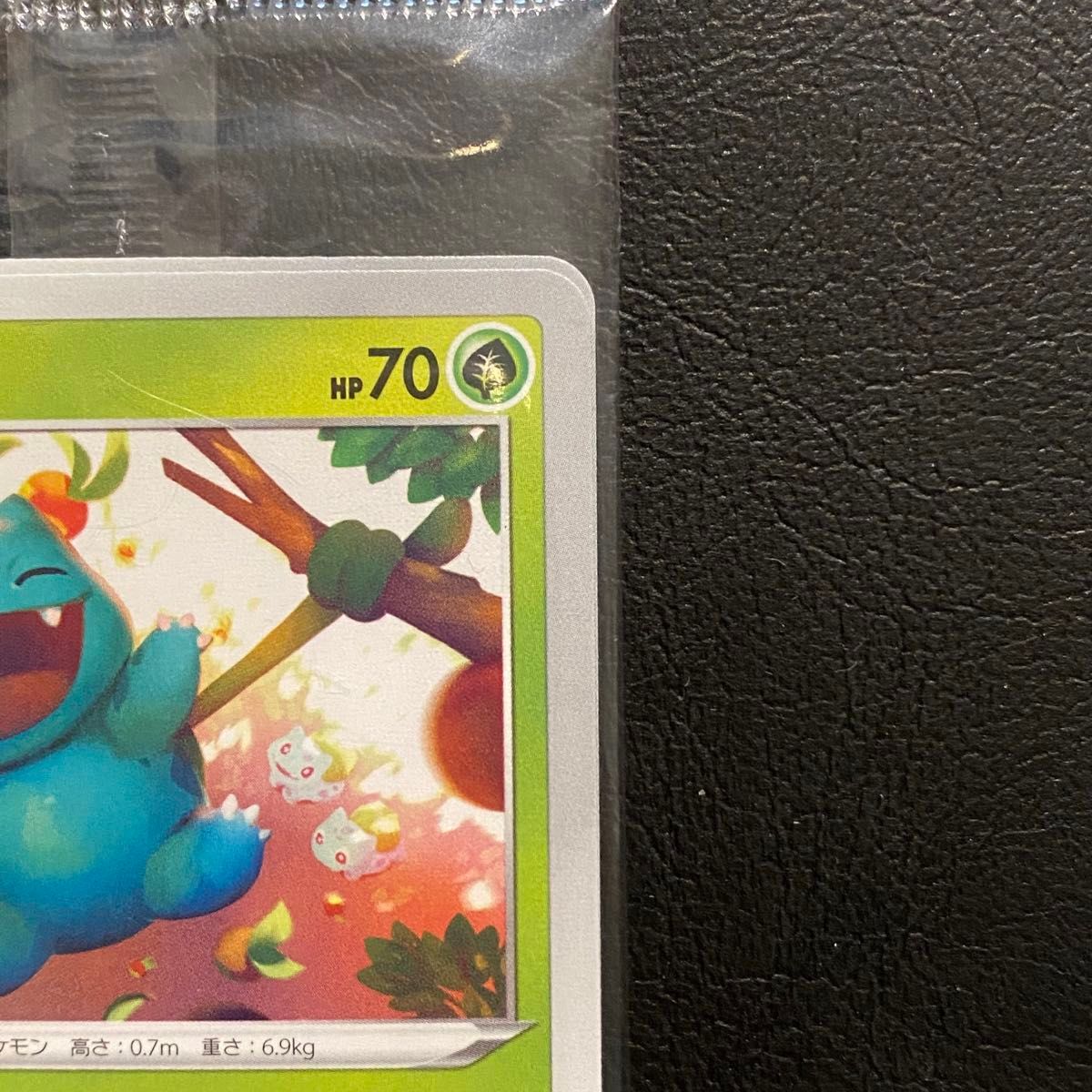 未開封 フシギダネウインディゲッコウガ (未開封 未開封 フシギダネウインディゲッコウガ (未開封