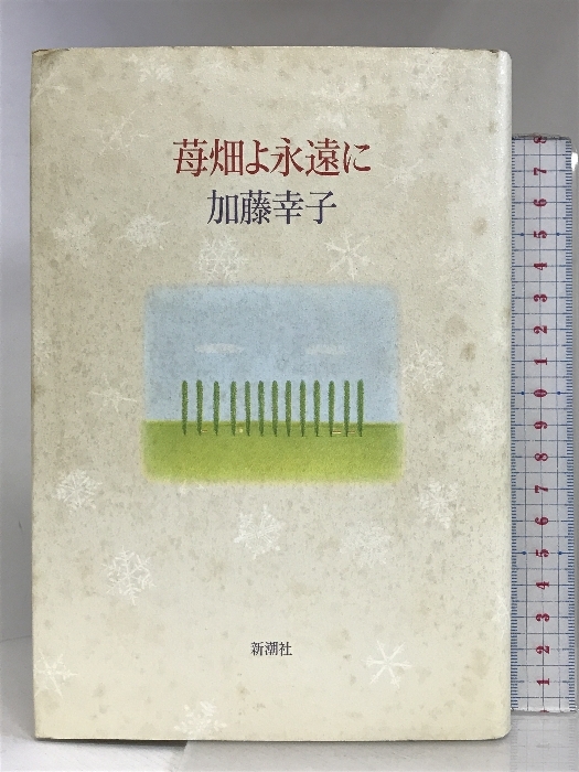 2024年冬【法人向けお歳暮】 ロマネスクの誘惑―1975‐1977 2024年冬【法人向けお歳暮】 ロマネスクの誘惑―1975‐1977