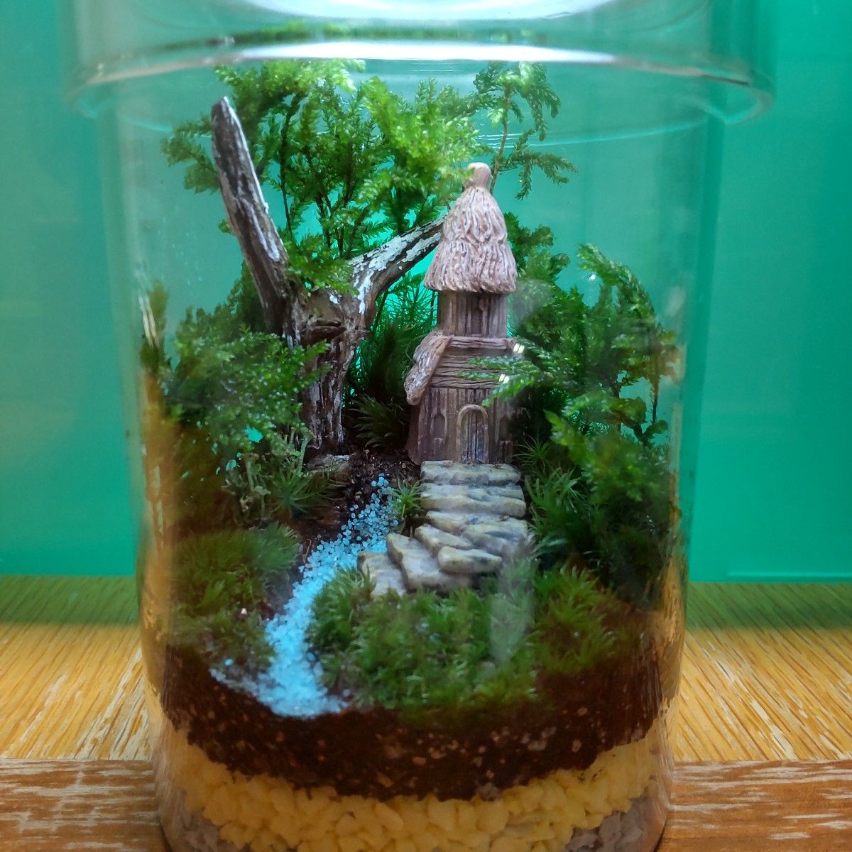 神秘な森の苔テラリウム 【完成品】苔アート 苔テラリウム 苔 神秘な森の苔テラリウム 【完成品】苔アート 苔テラリウム 苔