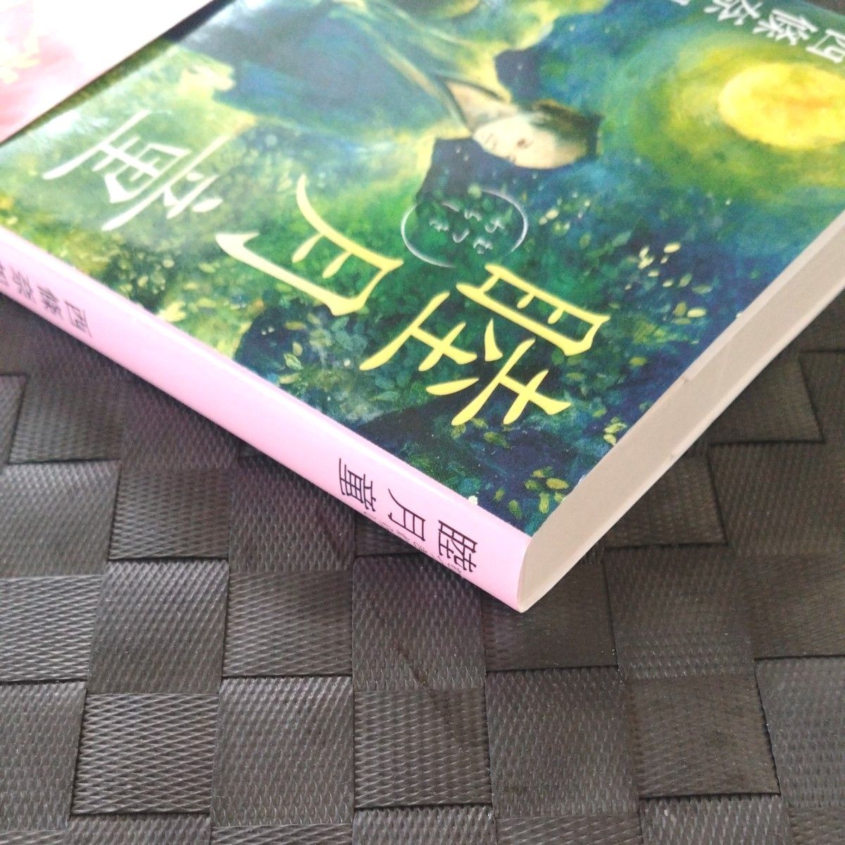 睦月童 （ＰＨＰ文芸文庫　さ３－２） 西條奈加／著　直木賞　文庫　時代小説