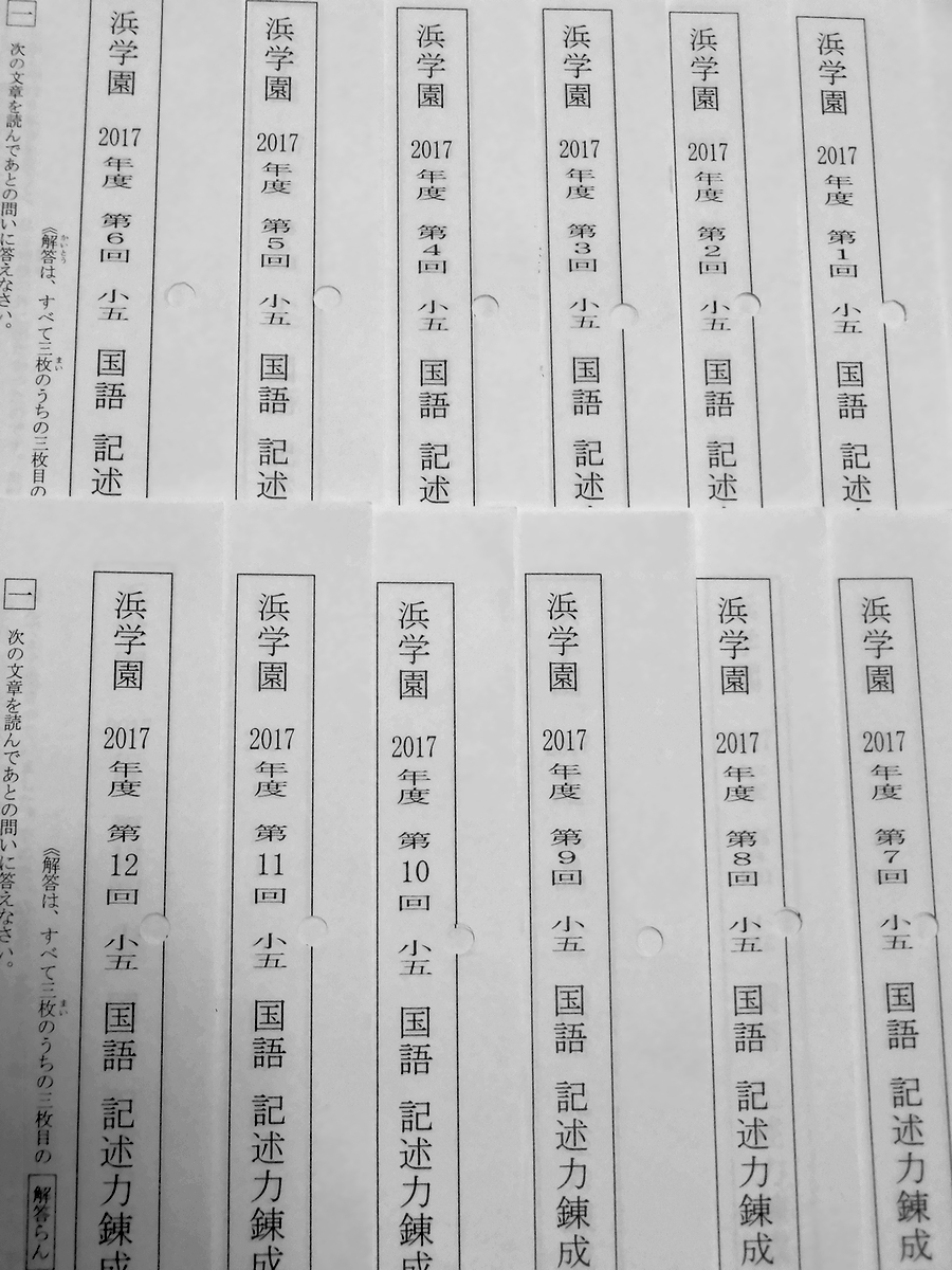 浜学園 小5 国語 記述力錬成テスト 2017年度 12回 1年間分|PayPayフリマ