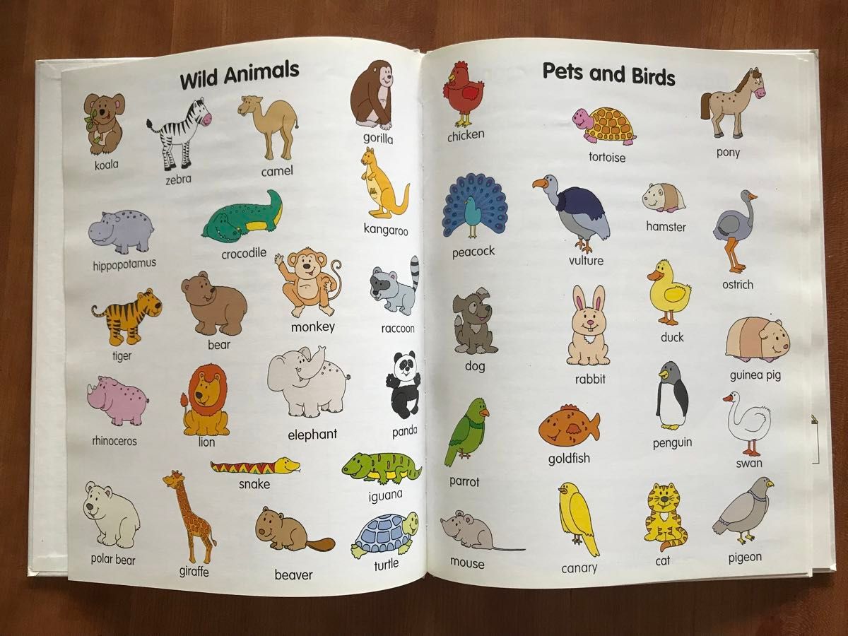 子供向け英語教材 大型サイズ絵本 単語と数 各1冊|Yahoo!フリマ 子供向け英語教材 大型サイズ絵本 単語と数 各1冊|Yahoo!フリマ