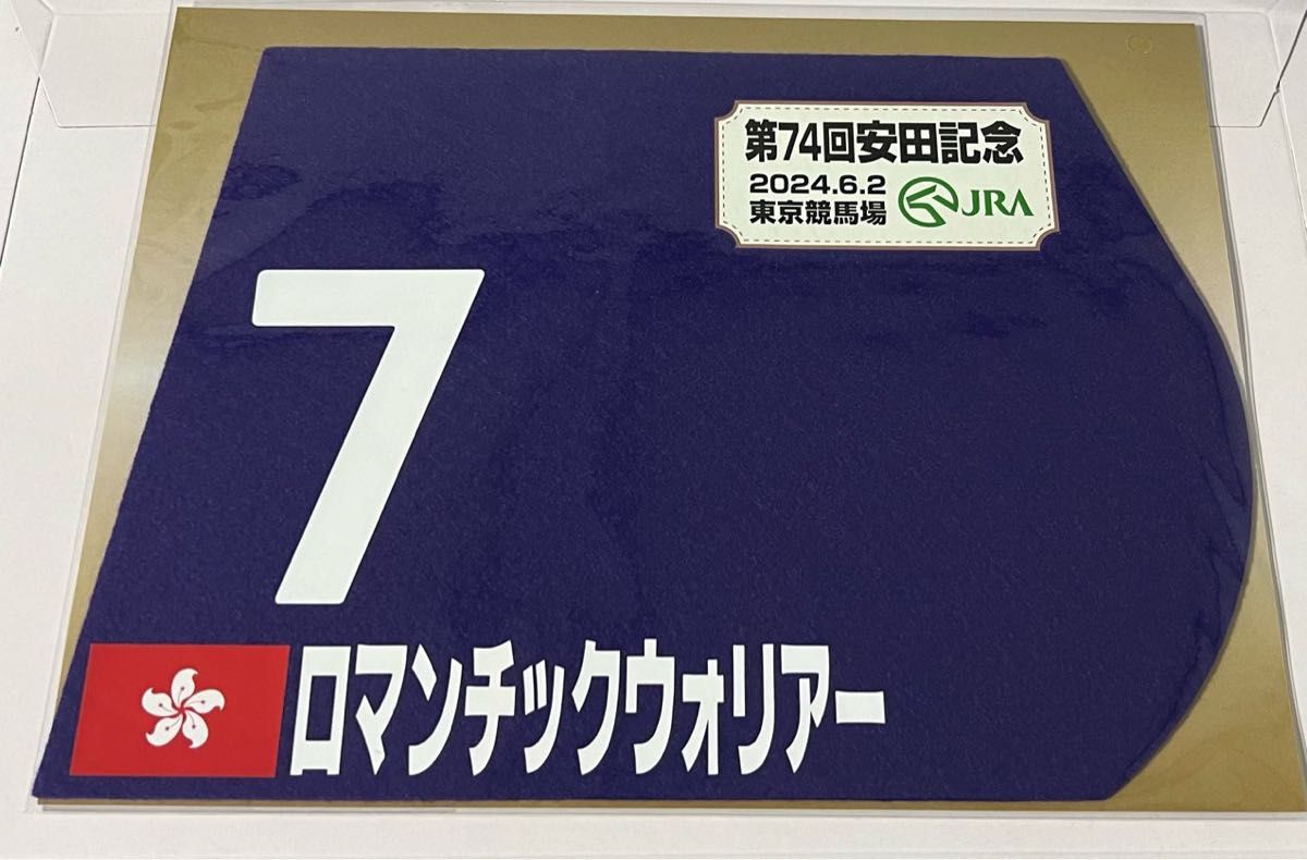 安田記念 ロマンチックウォリアー 現地単勝馬券 ミニゼッケン 安田記念 ロマンチックウォリアー 現地単勝馬券 ミニゼッケン