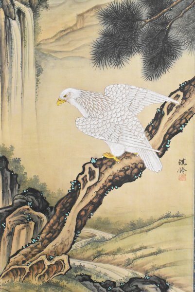 新作登場，定番人気 K3861 模写 沈銓 沈南蘋「白鷹」絹本 中国画 清代