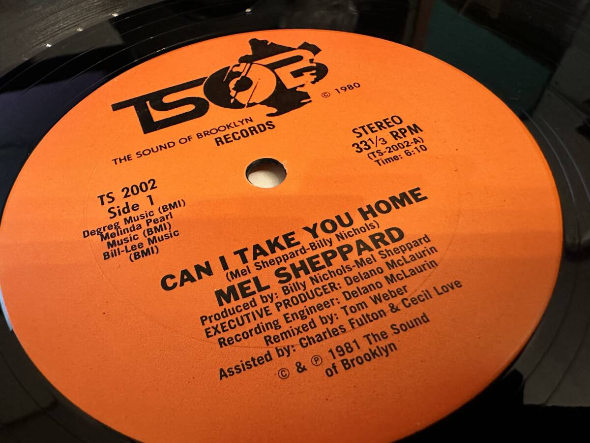 12”★Mel Sheppard / Can I Take You Home / I Love Making Love To You / ディスコ・ブギー！