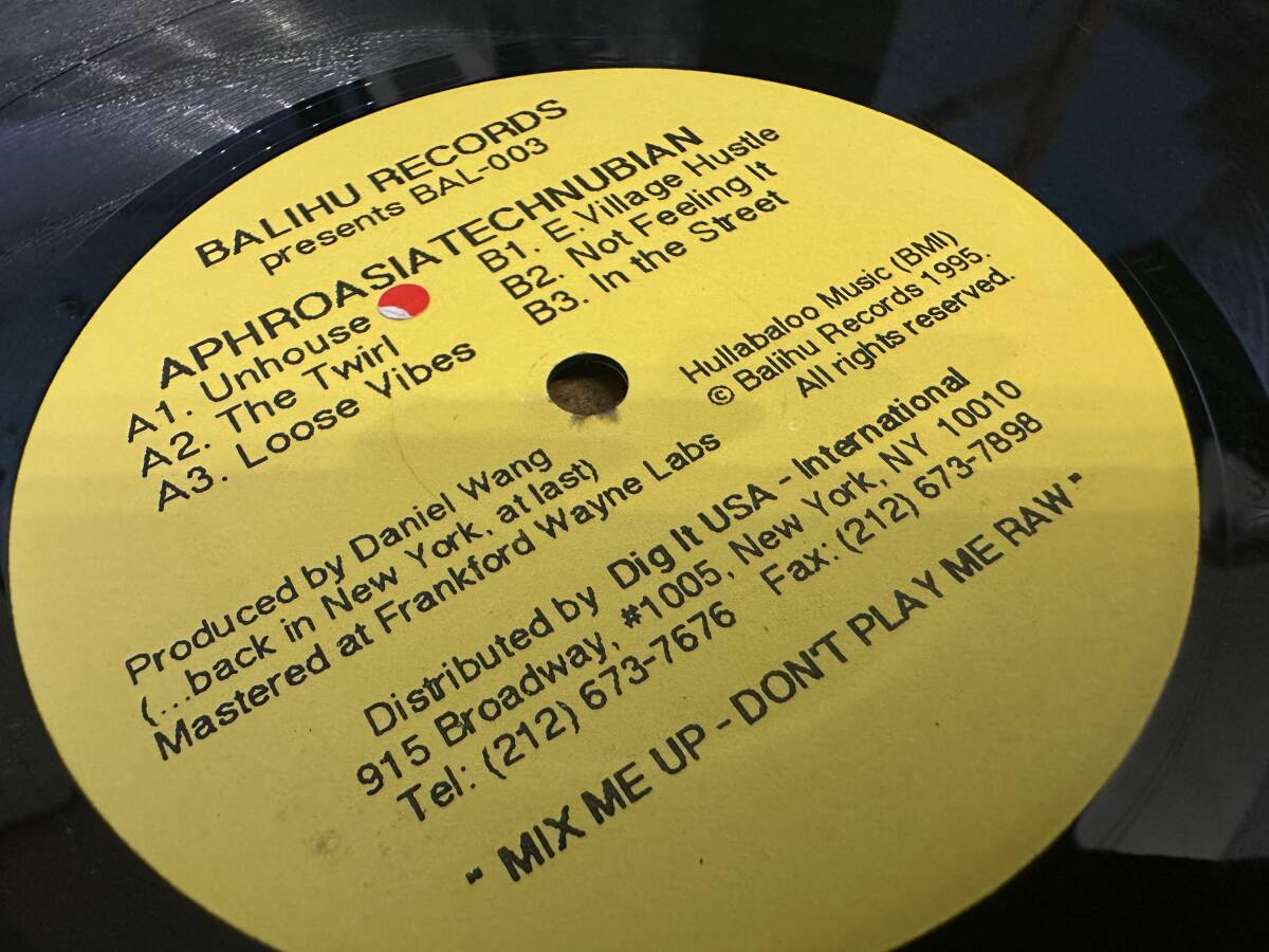 12”★Daniel Wang / Aphroasiatechnubian / ディープ・ディスコ・ハウス！