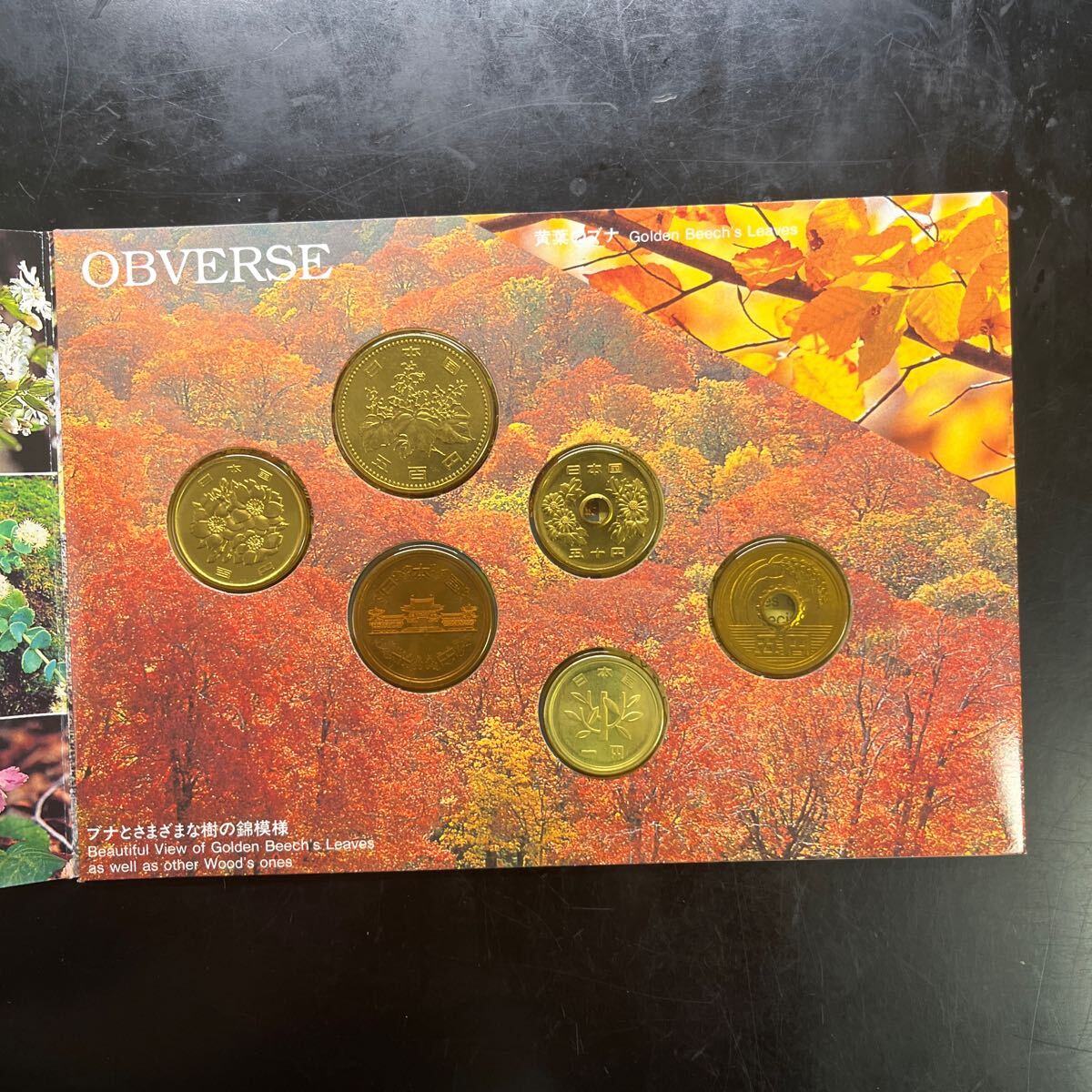 貨幣セット 世界自然遺産 白神山地 造幣局 平成7年　1995
