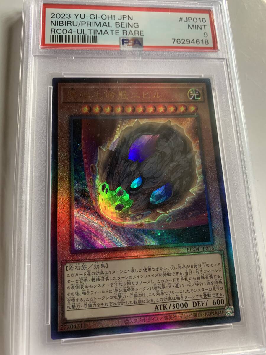 原始生命態ニビルPSA9