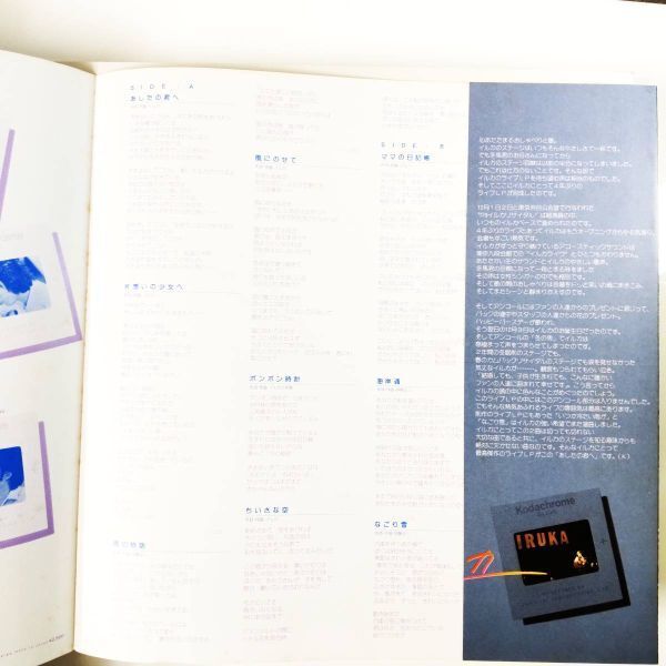 24776 ★良盤 イルカ/あしたの君へ ※帯付