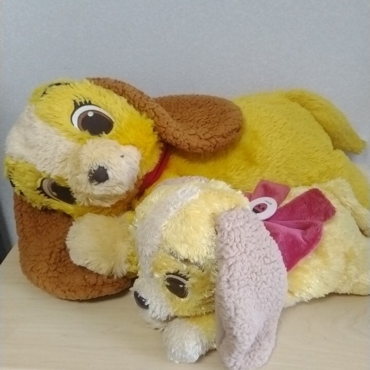 ロピア 爆買い シュタイフ/Steiff◇WDW2002◇「Richard」◇ピンつき◇ テディベア シュタイフ社