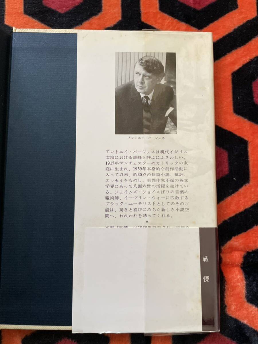 アントニイ・バージェス選集⑥「戦慄」初版 帯付き 飛田茂雄 訳 早川書房_画像8