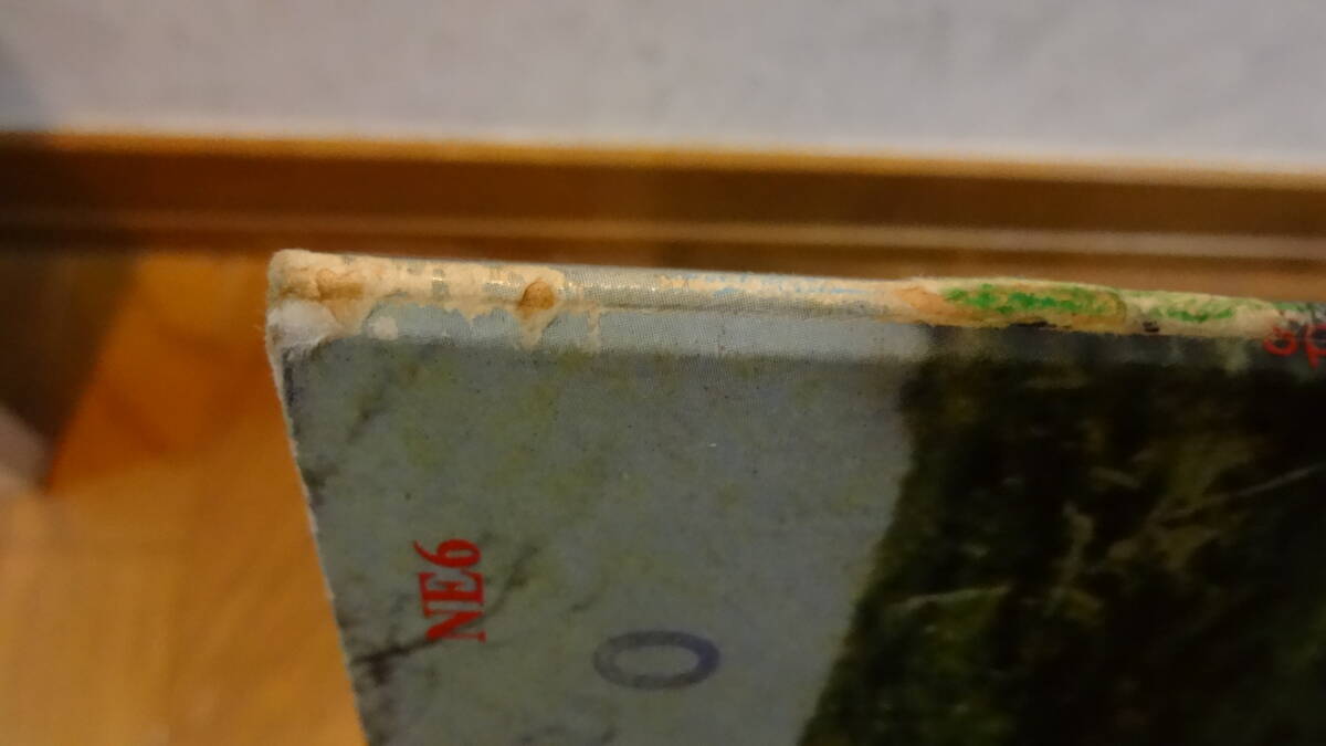 ＵＫ盤オリジナル?ＮＥＯＮ?。蹋?ＳＰＲＩＮＧ